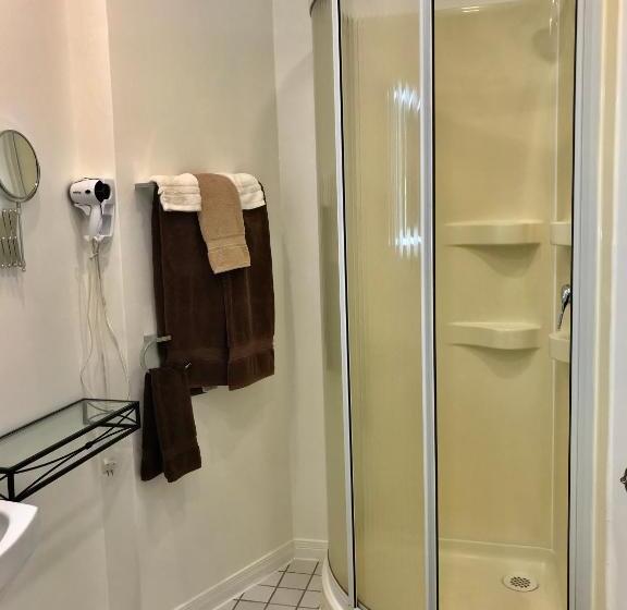 Номер Стандарт, Auberge Du Sault à La Puce