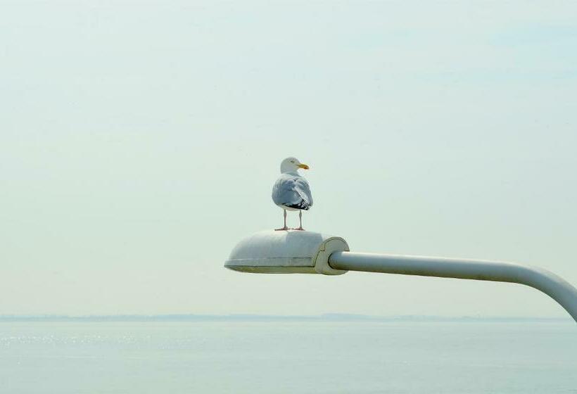 اتاق استاندارد با چشم‌انداز دریا, Belgische Loodsensociëteit