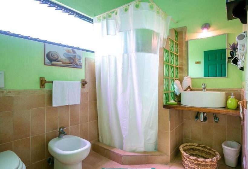 חדר סטנדרט, Boutique La Casa De Las Flores