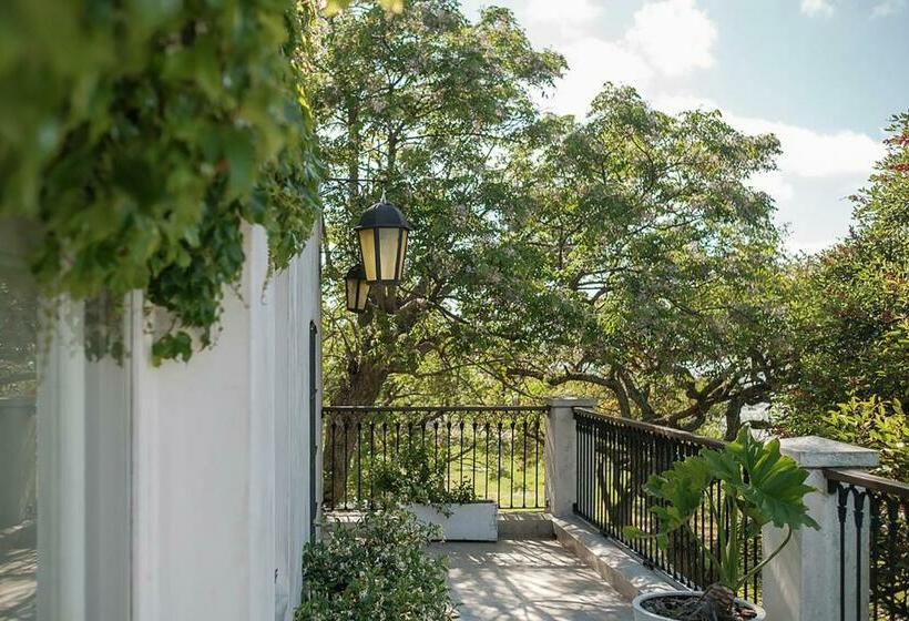 اتاق پرمیوم, Charco