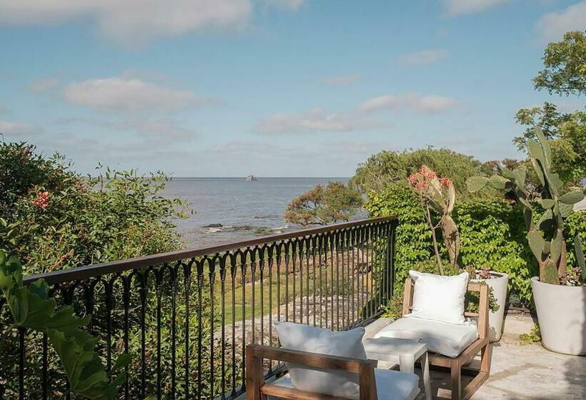 اتاق پرمیوم, Charco