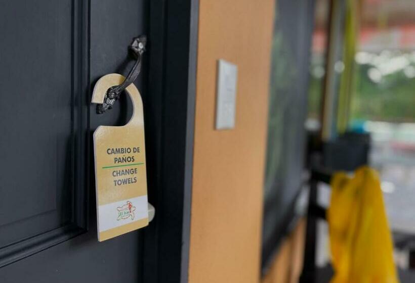 Номер Стандарт, El Icaco Tortuguero