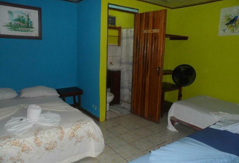 Номер Стандарт, El Icaco Tortuguero