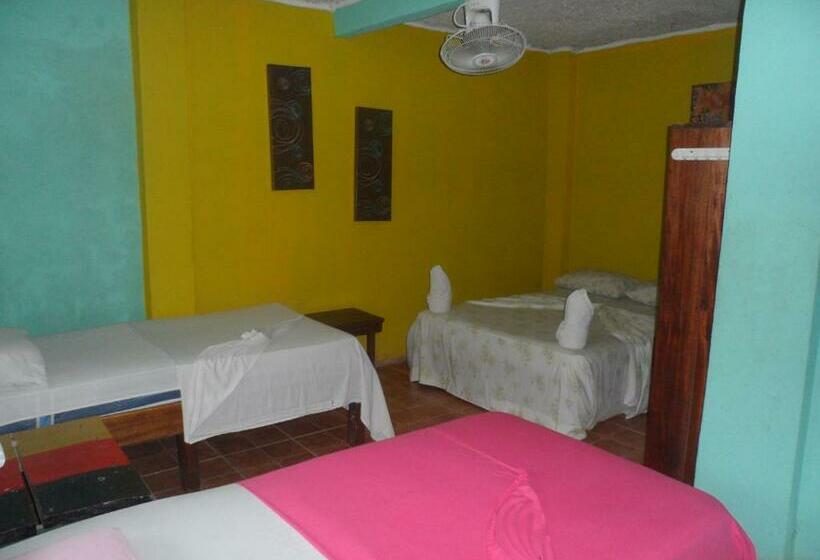 Номер Стандарт, El Icaco Tortuguero