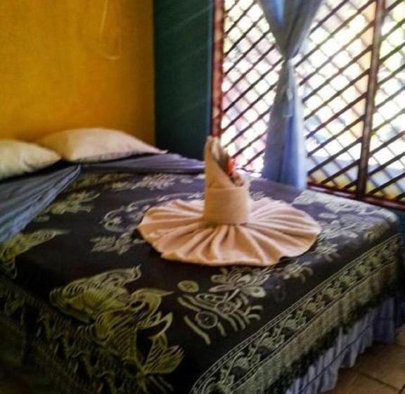 Номер Basic, El Icaco Tortuguero