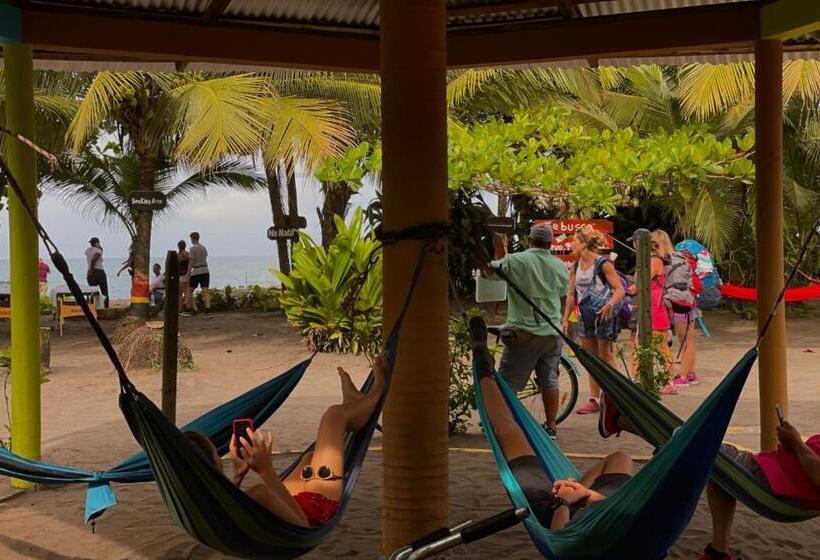 Номер Стандарт Индивидуальный, El Icaco Tortuguero