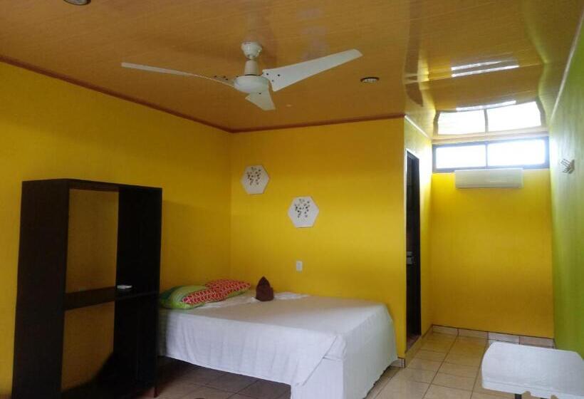 Номер Стандарт, El Icaco Tortuguero