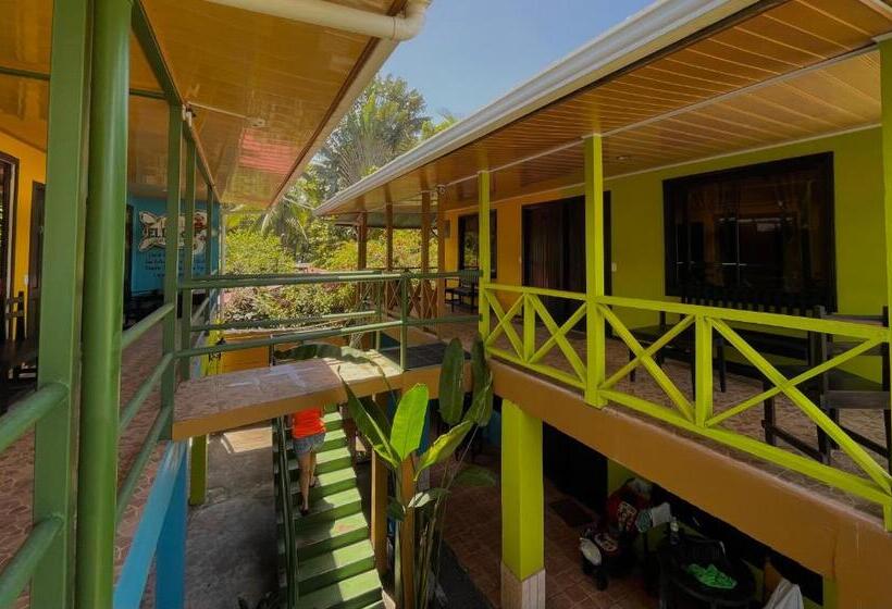 Номер Стандарт, El Icaco Tortuguero