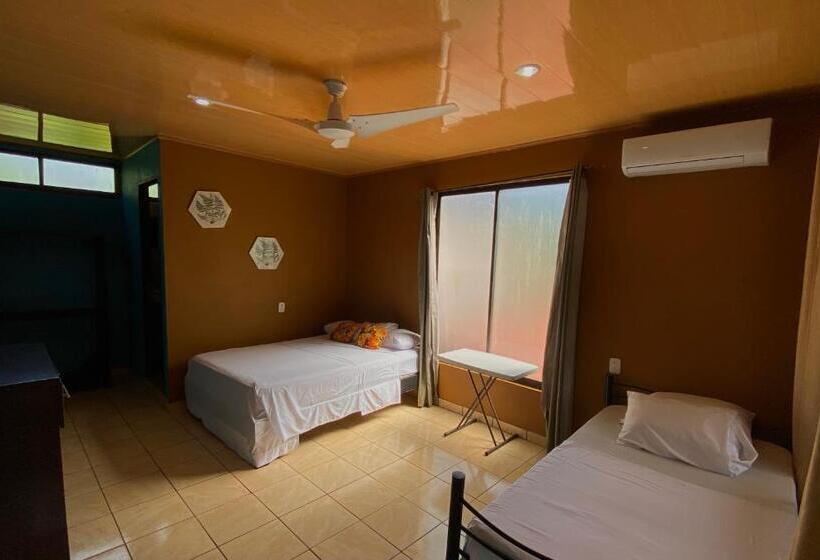 Номер Стандарт, El Icaco Tortuguero