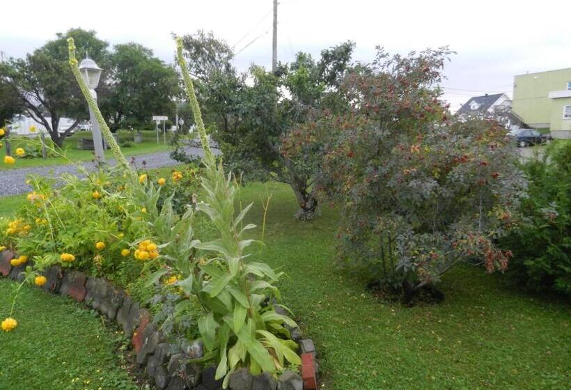 침실 1개 아파트, Gite La Ptite Falaise Hébergement Touristique