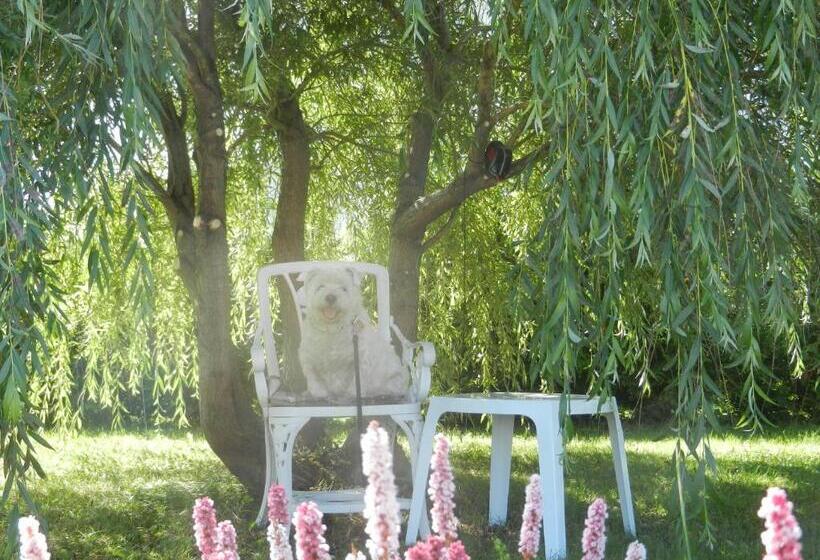 침실 1개 아파트, Gite La Ptite Falaise Hébergement Touristique