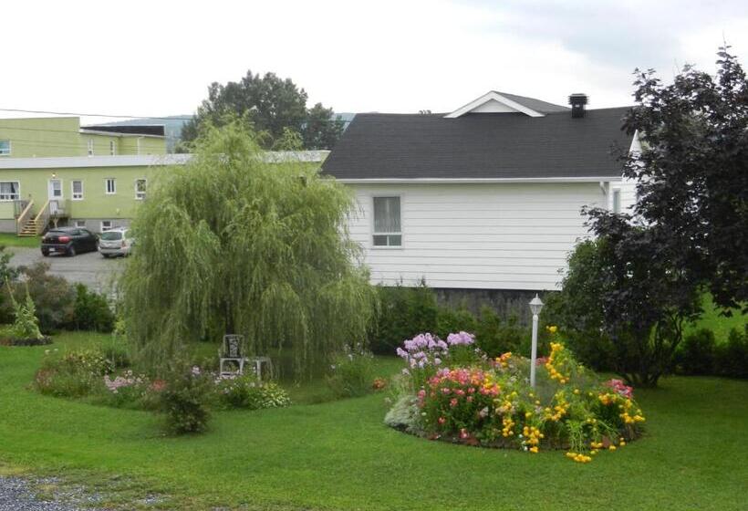 침실 1개 아파트, Gite La Ptite Falaise Hébergement Touristique