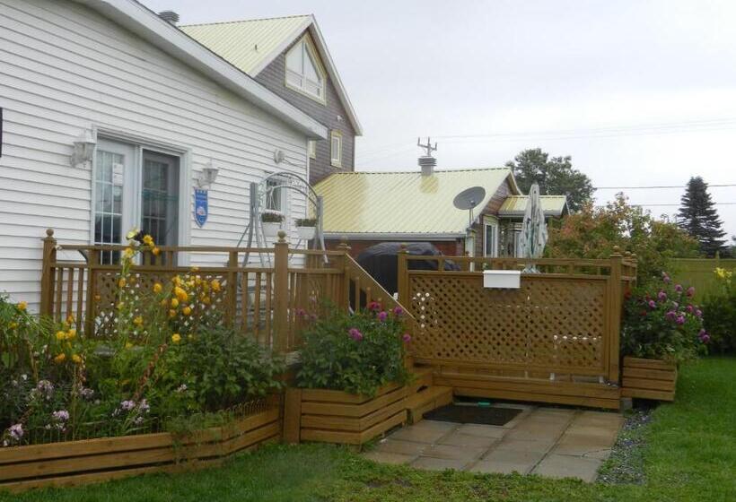 침실 1개 아파트, Gite La Ptite Falaise Hébergement Touristique