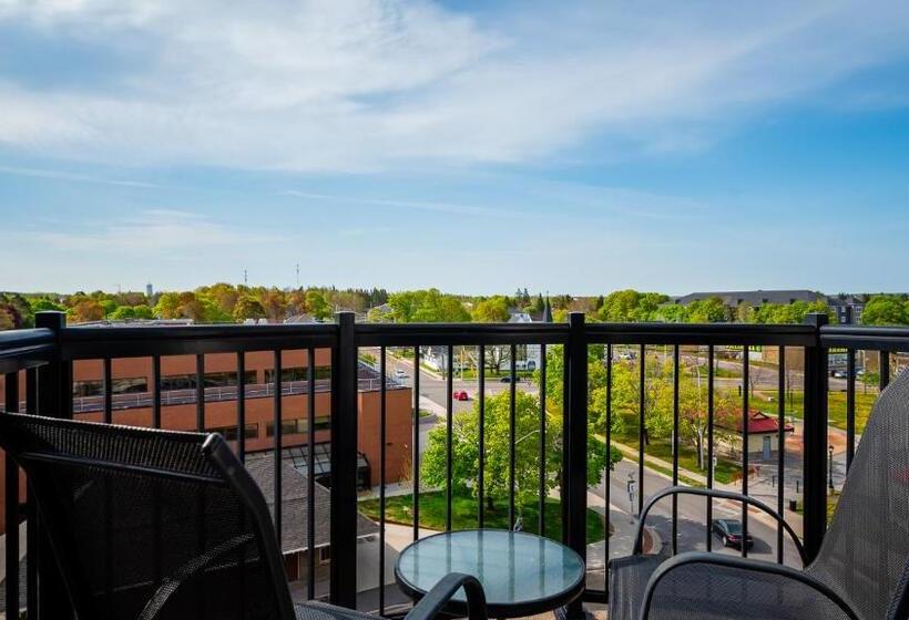 이그제큐티브 스위트, Hôtel Shediac