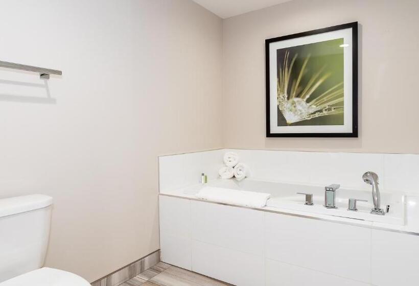 스탠다드 스튜디오 바다 전망, Hôtel Shediac