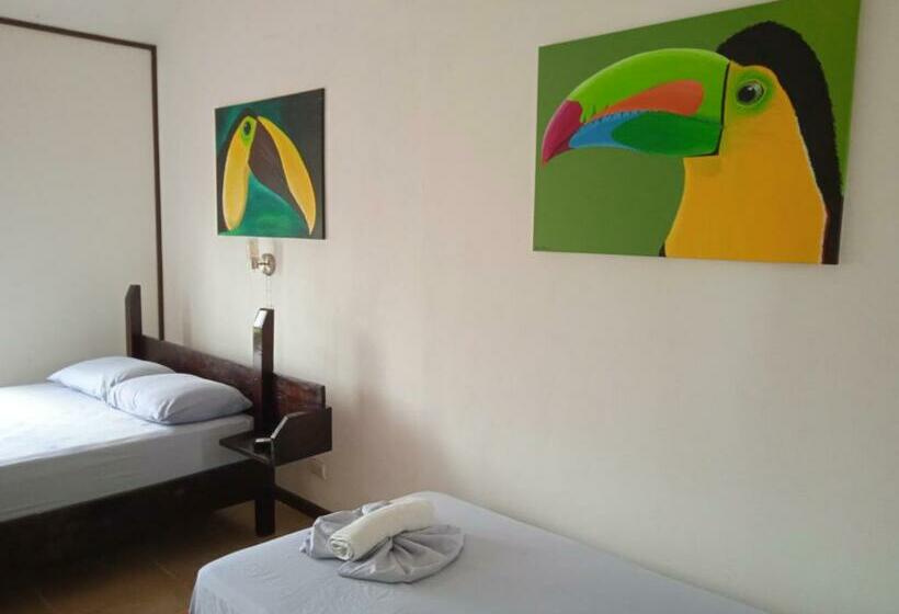 标准三人间, La Casona De Tortuguero