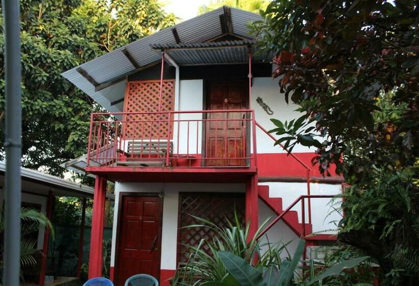 חדר סטנדרט, La Casona De Tortuguero