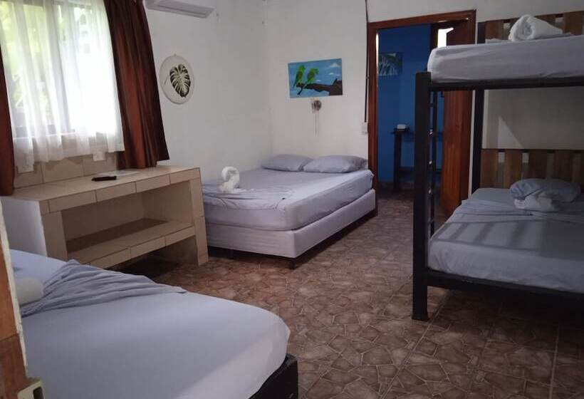 四人标准间, La Casona De Tortuguero