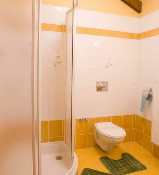 标准间, Pension Smetanuv Statek