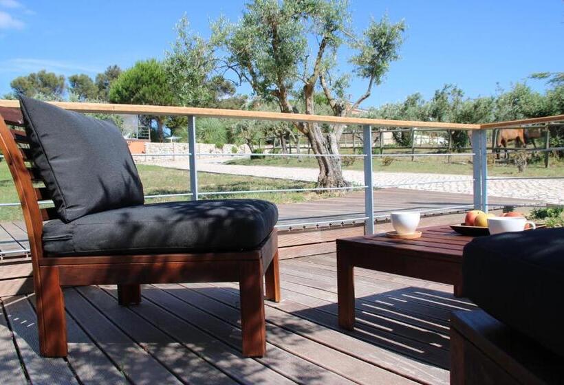 اتاق استاندارد با تراس, Quinta Tagus