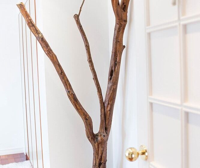 سوییت دوبلکس, Quinta Tagus