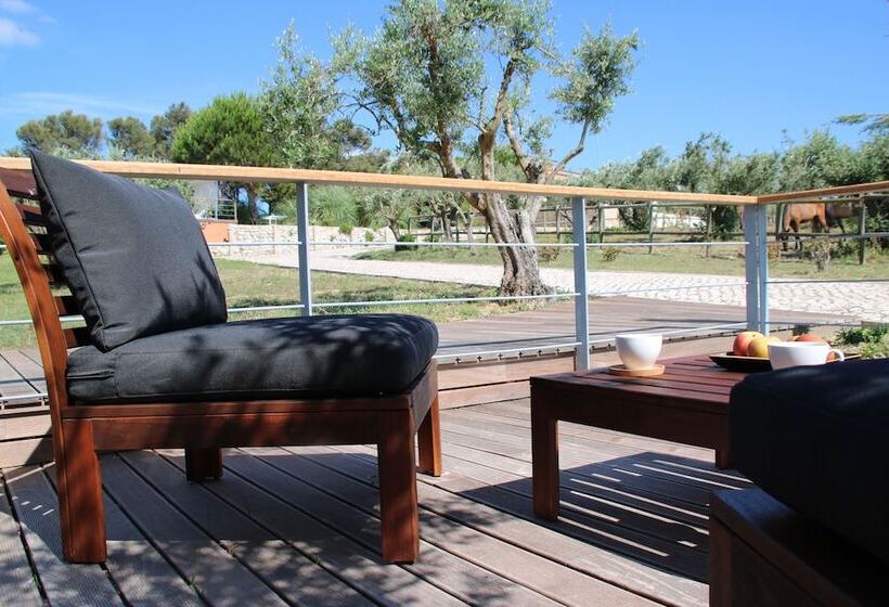 اتاق استاندارد با تراس, Quinta Tagus