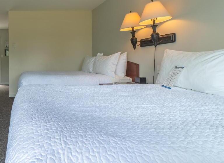 Quarto Estandar para Deficientes Físicos, Tofino Motel Harborview