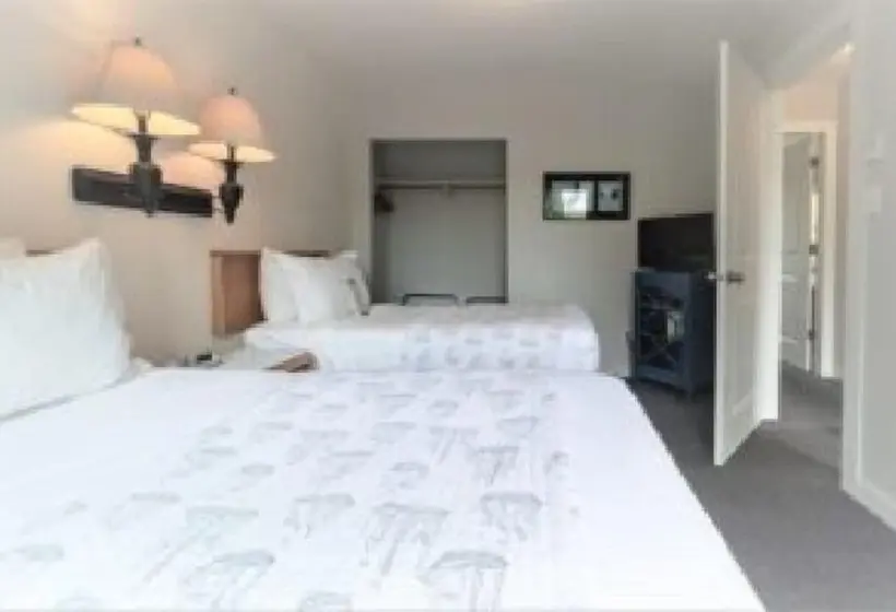 景色の見えるスイートルーム, Tofino Motel Harborview