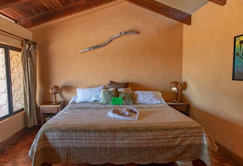 标准间, Villa Mango B&b