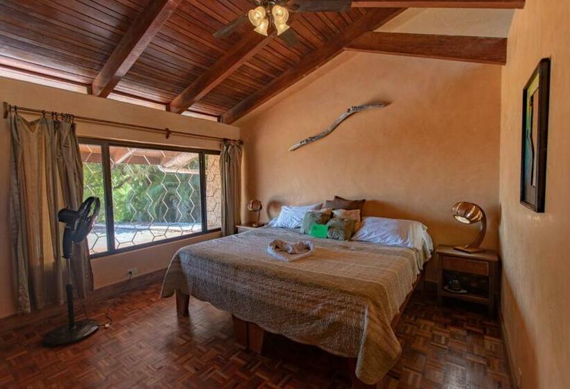 スタンダードルーム, Villa Mango B&b