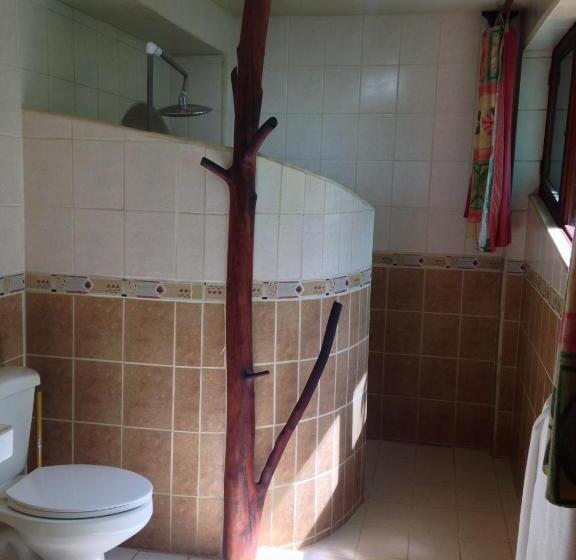 シングルデラックスルーム, Villa Mango B&b