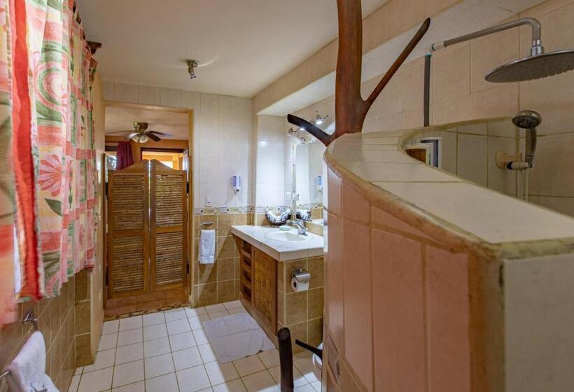 シングルデラックスルーム, Villa Mango B&b