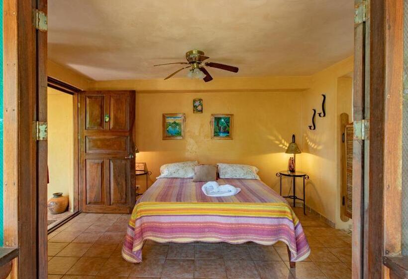 シングルデラックスルーム, Villa Mango B&b