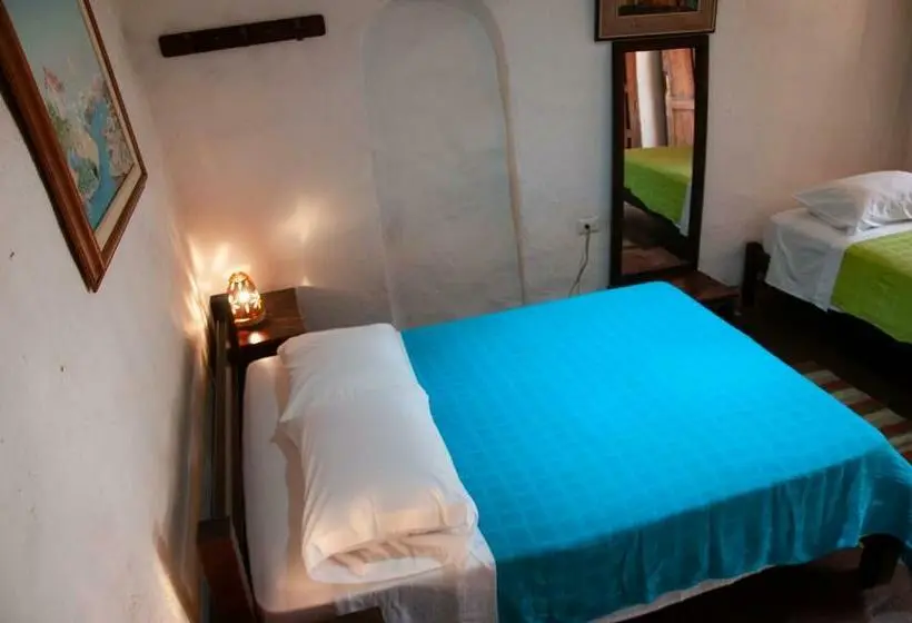 スタンダードルーム, Nacuma Garden Hostel Casa Nacuma