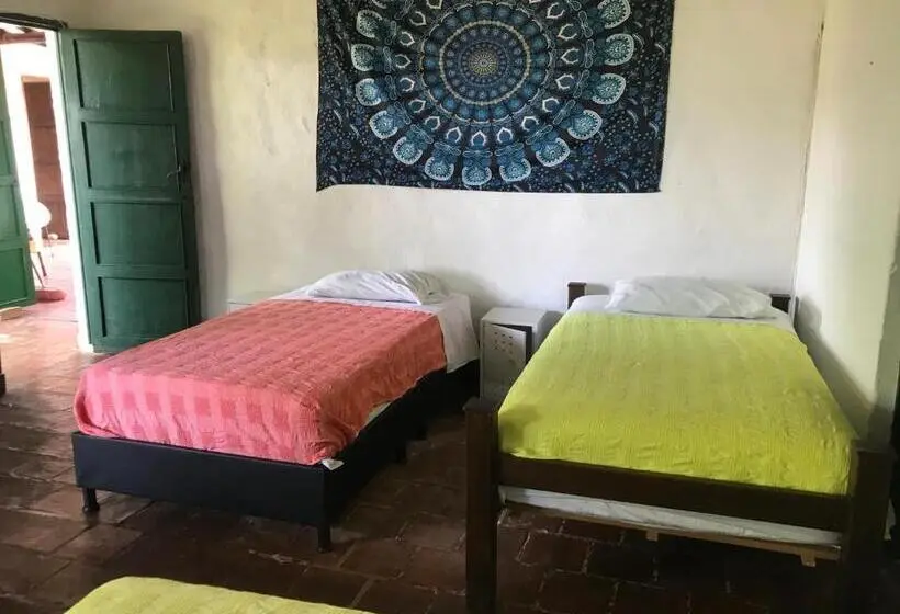 ルームシェアのワンベッド, Nacuma Garden Hostel Casa Nacuma