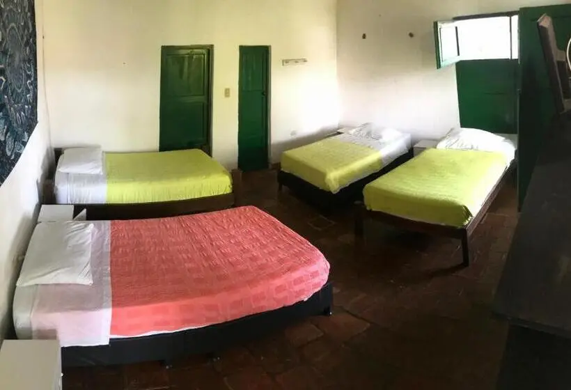 ルームシェアのワンベッド, Nacuma Garden Hostel Casa Nacuma