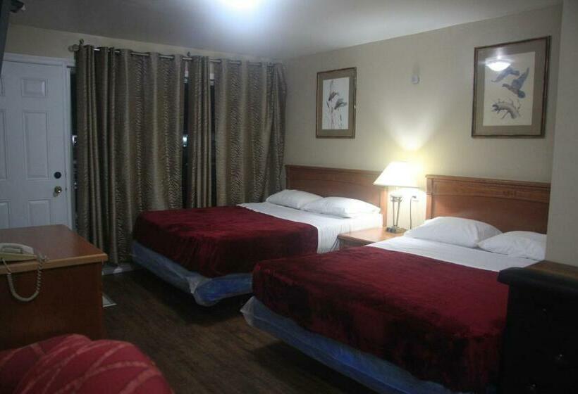 ２ダブルベッドのスタンダードルーム, American Plaza Motel