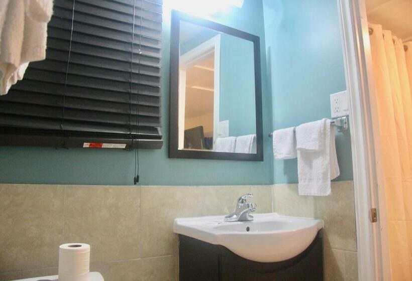 スタンダードルーム, American Plaza Motel