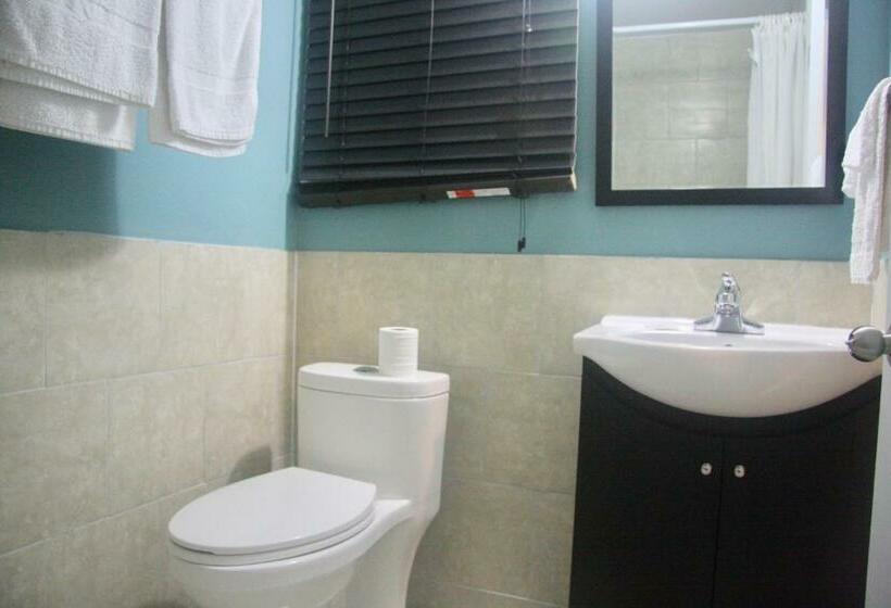 スタンダードルーム, American Plaza Motel