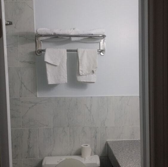 ２ダブルベッドのスタンダードルーム, American Plaza Motel