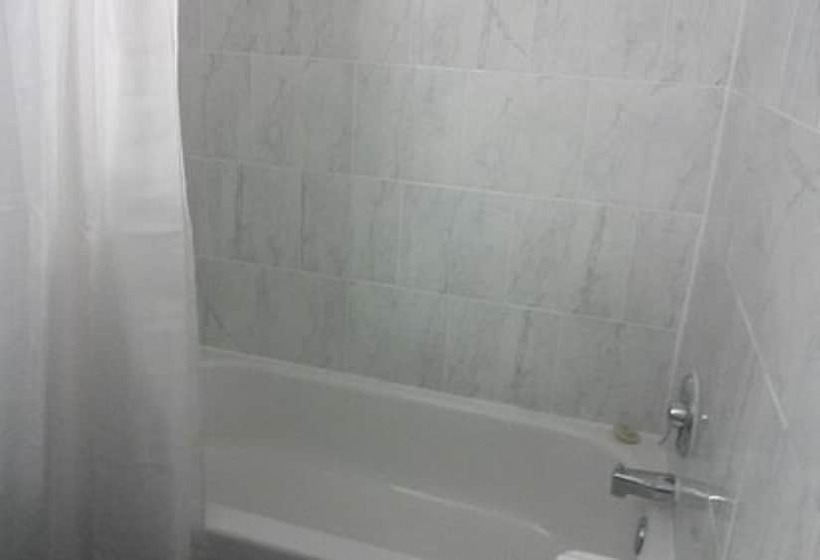 带2个双人床的标准工作室, American Plaza Motel