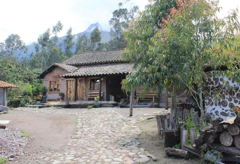 Номер Стандарт, El Tio Hostal