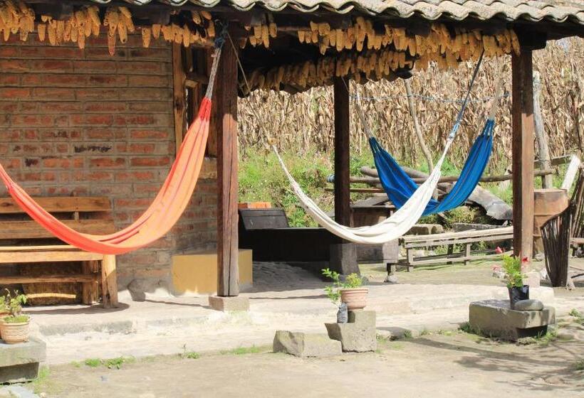 Номер Стандарт, El Tio Hostal