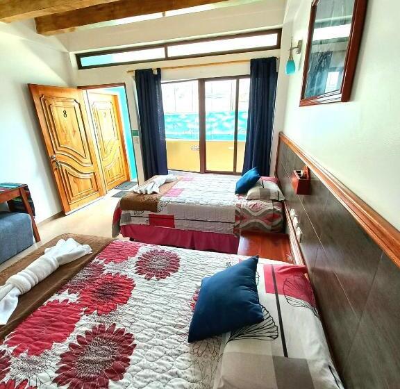 Номер Стандарт, Galapagos Eco Friendly