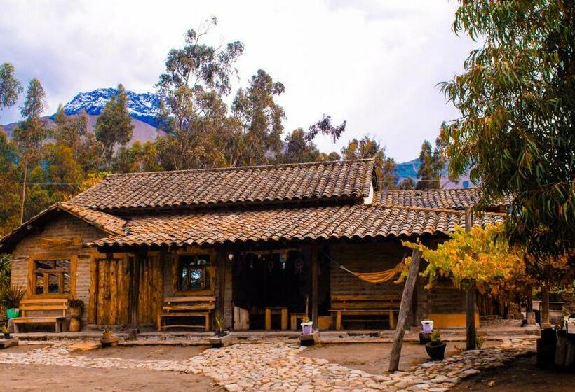 Номер Стандарт, El Tio Hostal