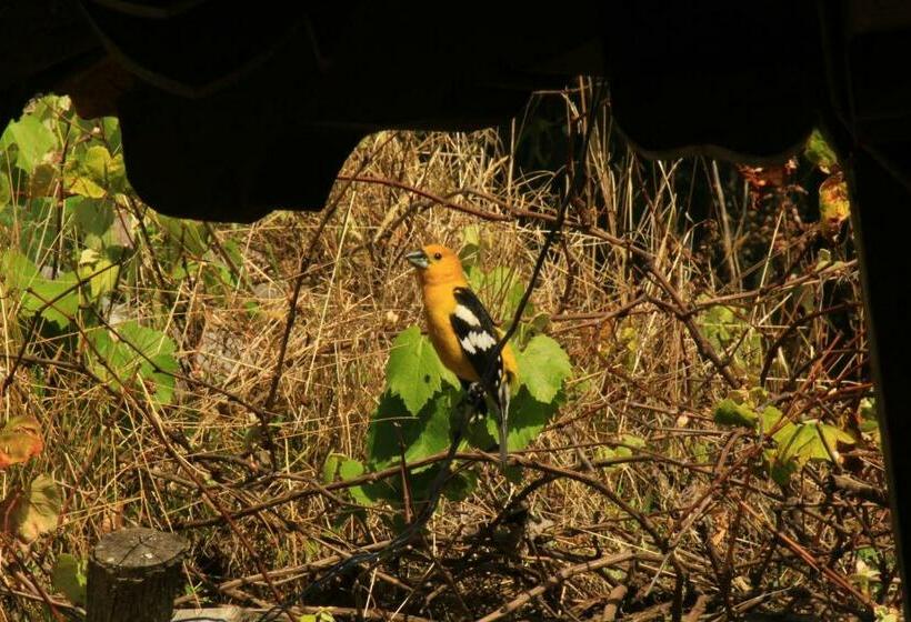 Номер Стандарт, El Tio Hostal