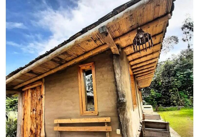 Номер Стандарт, El Tio Hostal