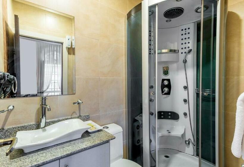 חדר סטנדרט, Del Parque Hotel & Suites