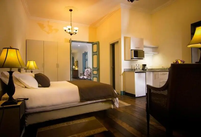 Superior Yhden Hengen Huone, Del Parque Hotel & Suites