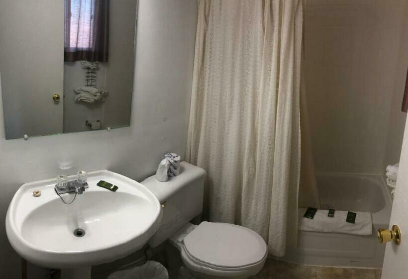 스탠다드 룸, Guest Inn Motel